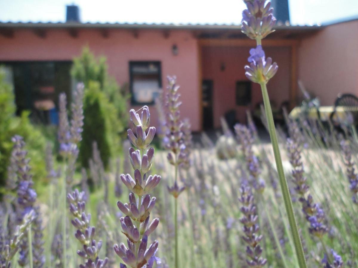 טמפלין Ferienhaus Krueger מראה חיצוני תמונה